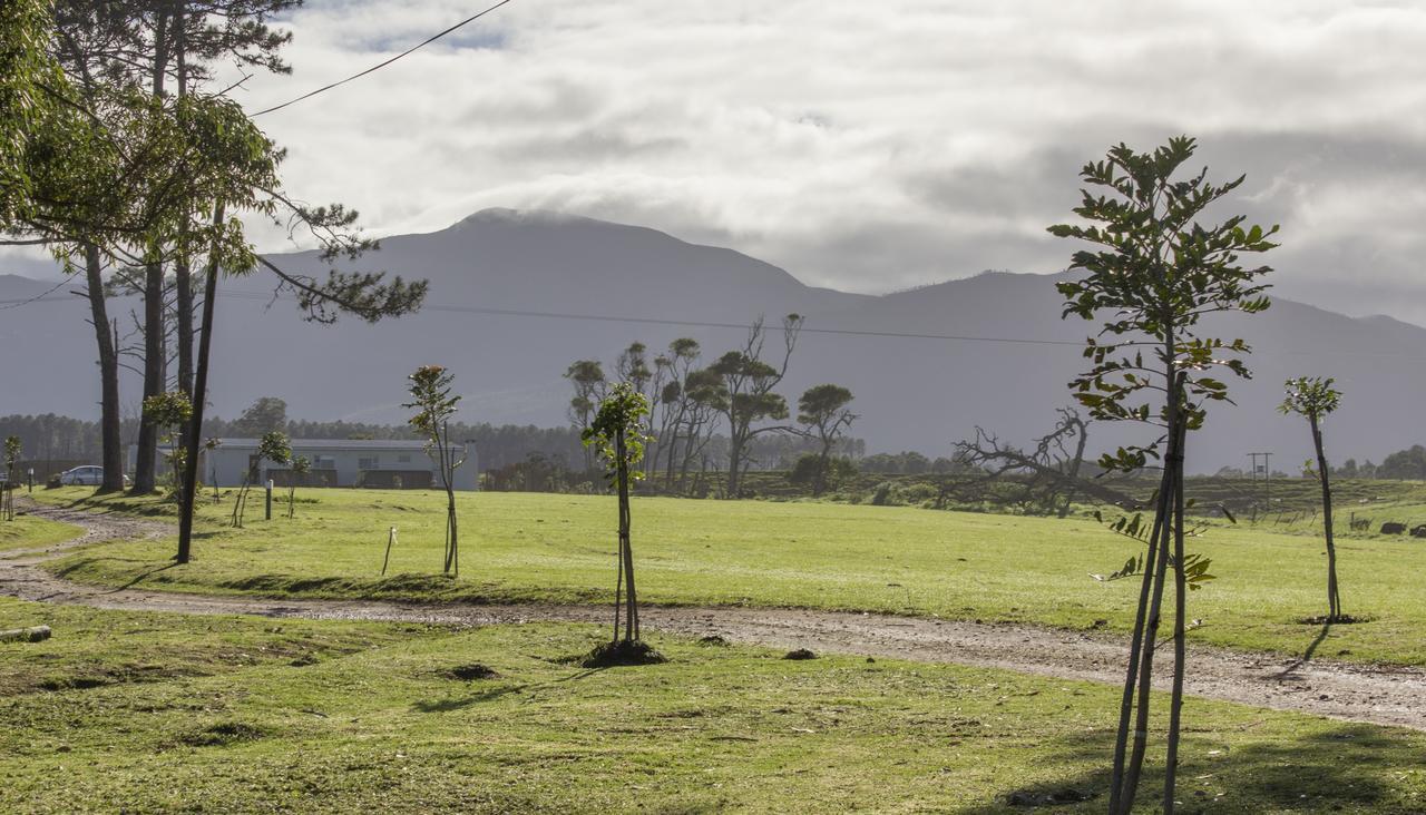 Beyond Urban Cottages Stormsrivier Exteriér fotografie